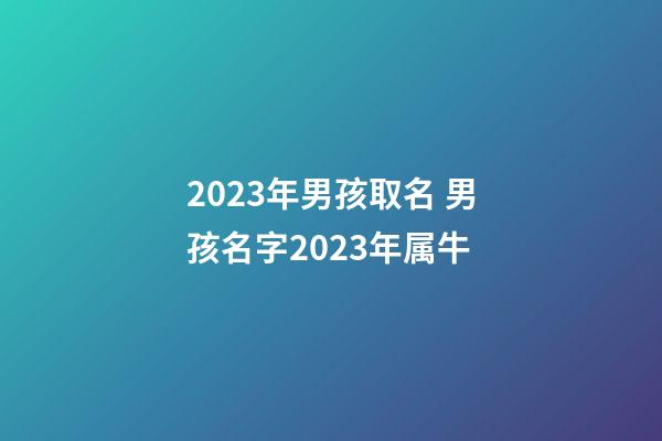 2023年男孩取名 男孩名字2023年属牛